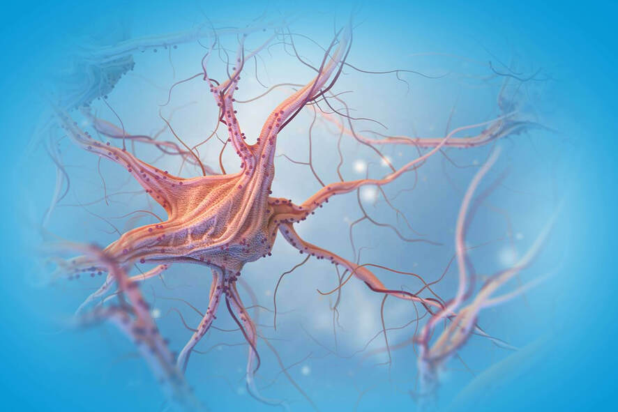 Beyin ve Sinir Cerrahisi